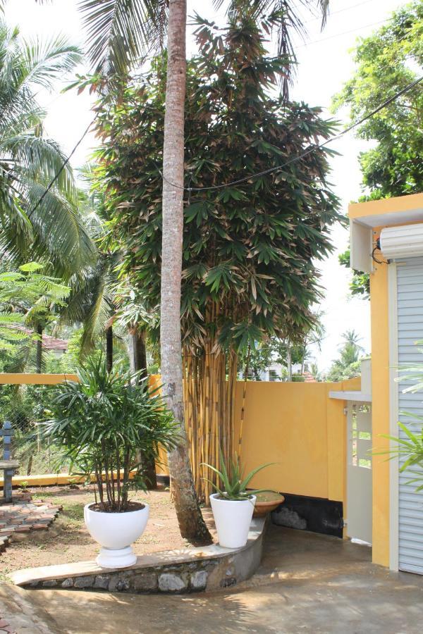 Ocean Villa Dikwella Ngoại thất bức ảnh