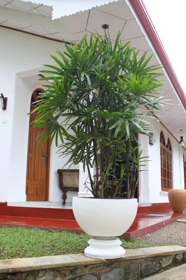 Ocean Villa Dikwella Ngoại thất bức ảnh