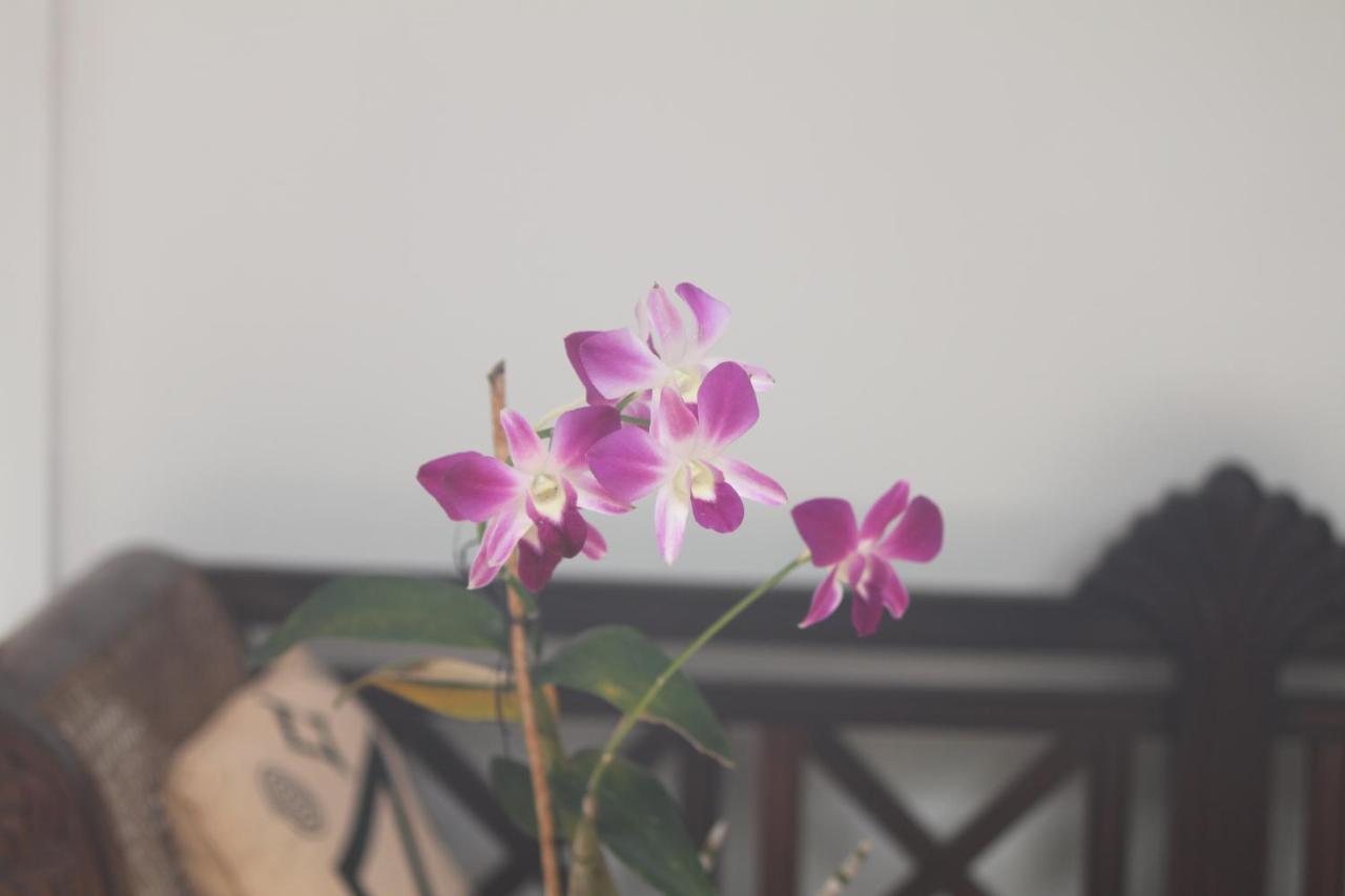Ocean Villa Dikwella Ngoại thất bức ảnh